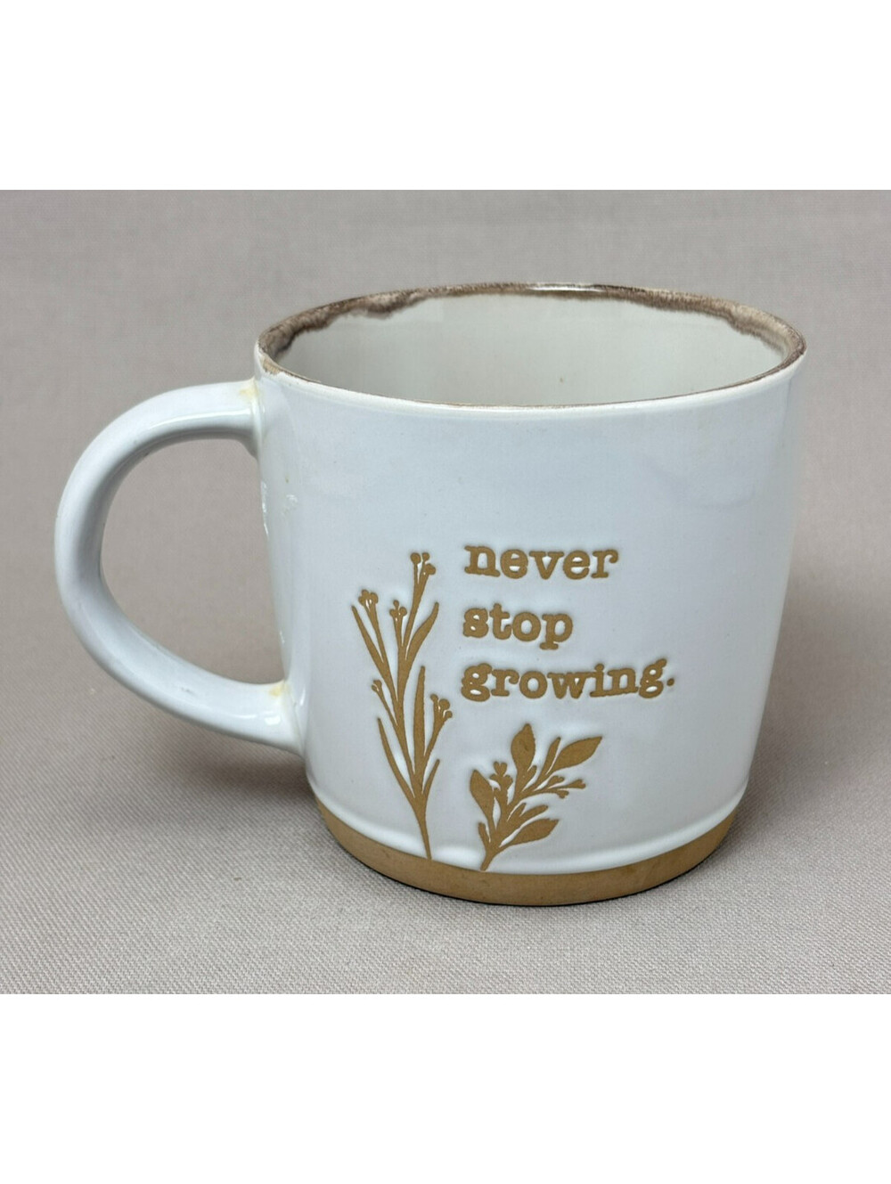 Boston Warehouse Ceramic Coffee Mug Never Stop Growing Plant Lover Botanical 4"